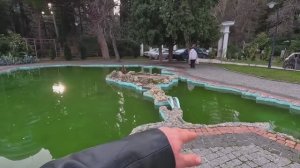 Вещ.рынок.Приморский парк.Собаки Борода и Рыжик.Жизнь на море / Ялта