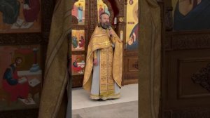 Проповедь отца Павла в неделю 28-ю по Пятидесятнице. О благодарности Богу 21.12.2025г.