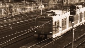 Дорога домой