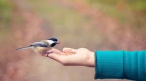 День проявления доброты. Такое утро