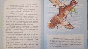 Лягушка путешественница.