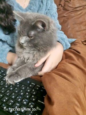 привет мне грустно и плохо пишите пожалу Йоста коменарии