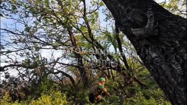 🔴Булат трЫста!🔴