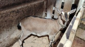 17-02-2026 Я это сделала 🫣.