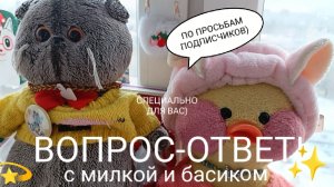 ВОПРОС-ОТВЕТ С МИЛКОЙ И БАСИКОМ?)