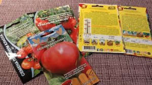 Как рассчитать дату посадки семян томатов на рассаду