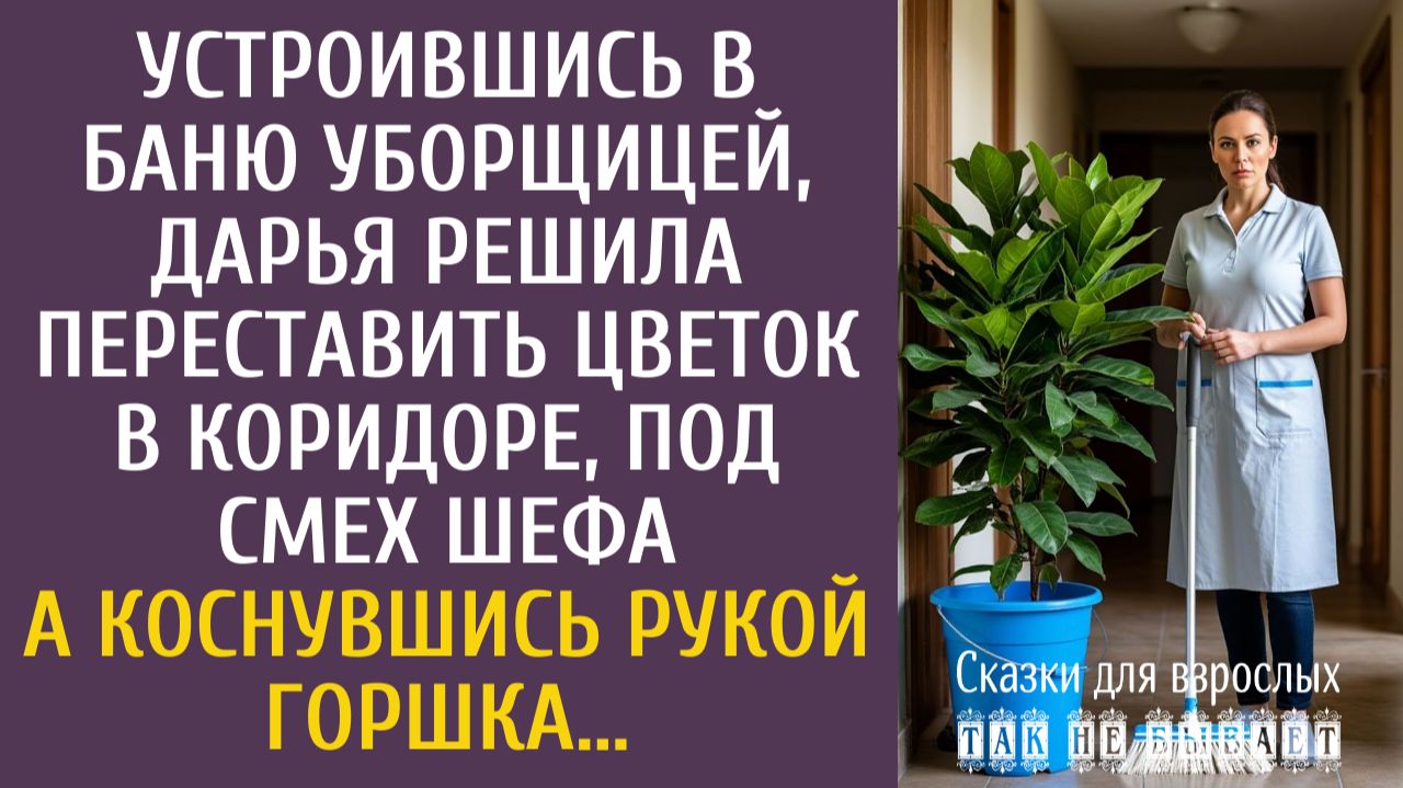 Истории из жизни Устроившись в баню уборщицей, Дарья решила переставить цветок в коридоре… смотреть онлайн