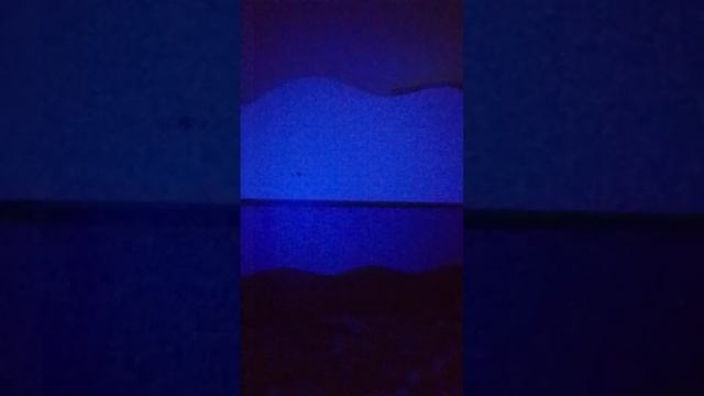 1000002327.mp4 смотреть онлайн