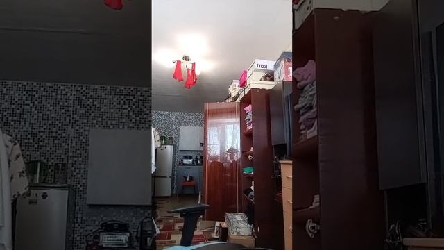 17-02-2026 обед стрим ютуб смотреть онлайн