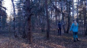 выживание в лесу ЧАСТЬ 16