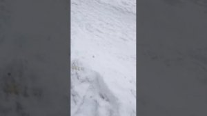 Прогулка по парку.Февраль  2026