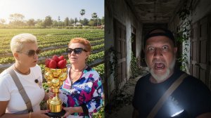 🍓Клубничный Парк или ЗАБРОШЕННЫЙ ОТЕЛЬ? 😱 Новое Испытание! Таиланд 2026