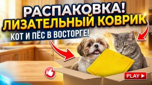 Распаковка лизательного коврика