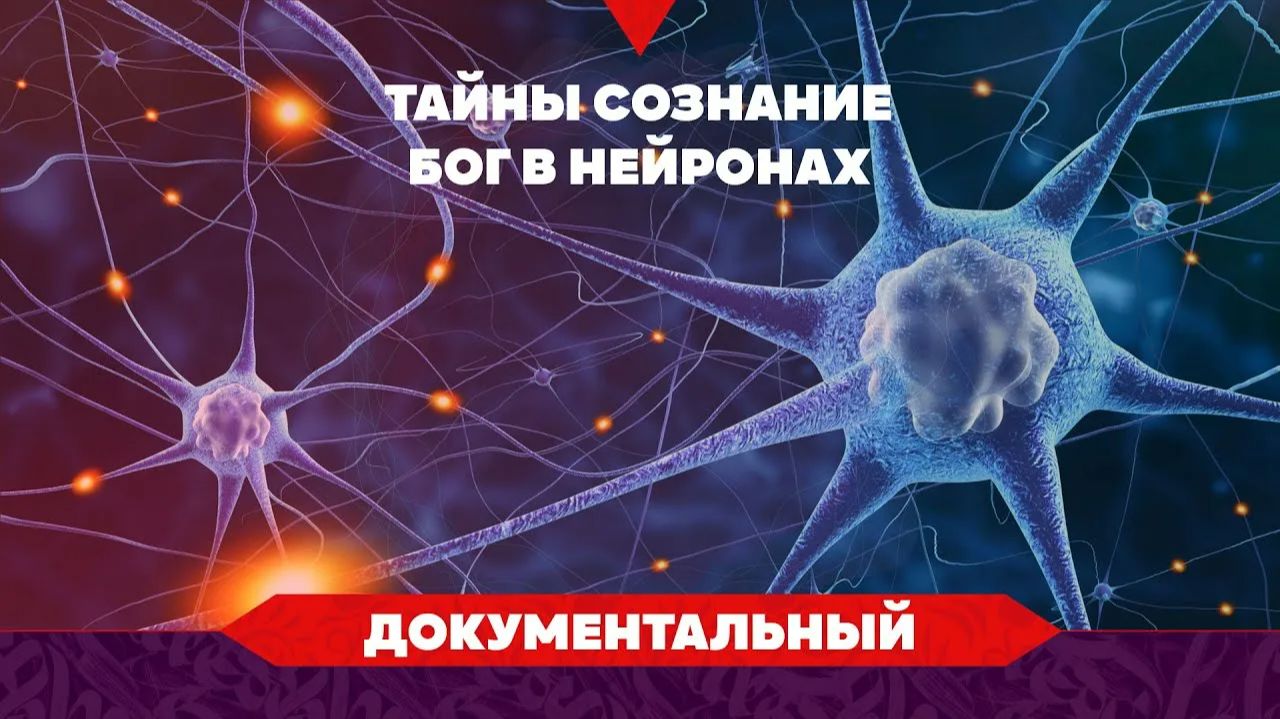 «Что такое сознание? Тайны сознания. Тайны мозга / Бог в нейронах» смотреть онлайн