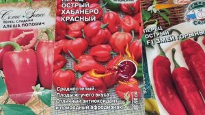 Что за семена? Перец, баклажаны. Гарантия всхожести. Сроки, посадка.