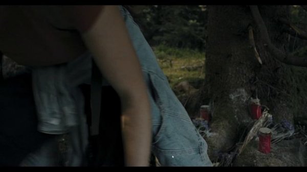 Heart of the Forest №1