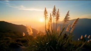 Правдивая Ольга. Лёля Быкова. Огромные долги Гриши. вот это новость. Деревенский дневник.