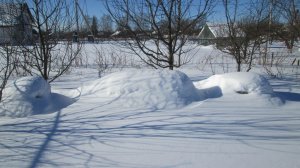 Песня о зимовки пчёл