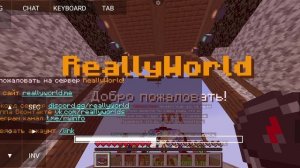 показываю клановый дом на reallyworld