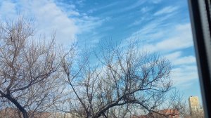 тренируемся играть в мяч