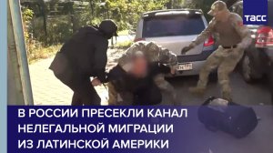 В России пресекли канал нелегальной миграции из Латинской Америки