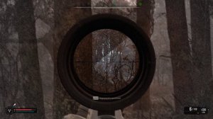 С.Т.А.Л.К.Е.Р. 2 -Аномальная активность №47(Палитра)