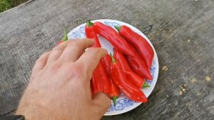 Перец для начинки Мамми Хубер -Mammi Huber's Stuffing Pepper