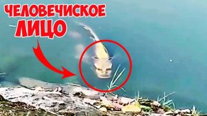 7 Феноменов Природы Снятых на Камеру