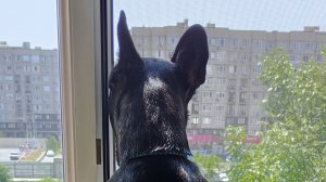 взорви базу челлендж 💥