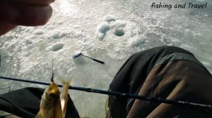 В поисках хорошей зимней рыбалки р.Киевка , Приморский край