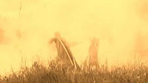 Поднимется Россия и окрепнет