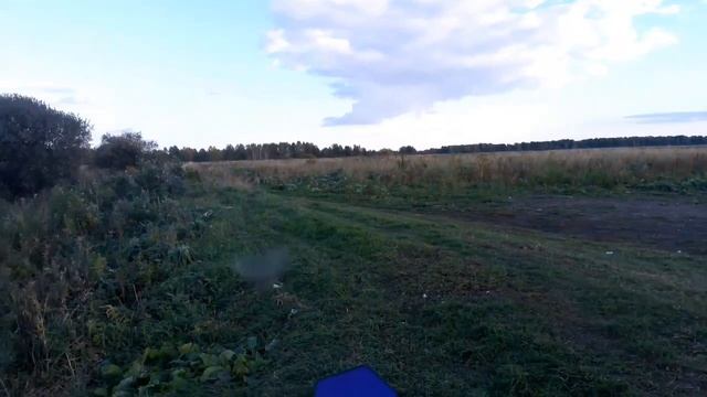 Вот и лето прошло! смотреть онлайн