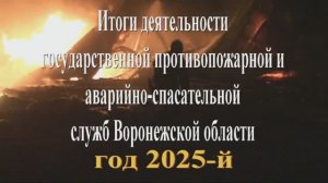 Итоги совместной деятельности противопожарной и спасательной службы Воронежской области за 2025 год