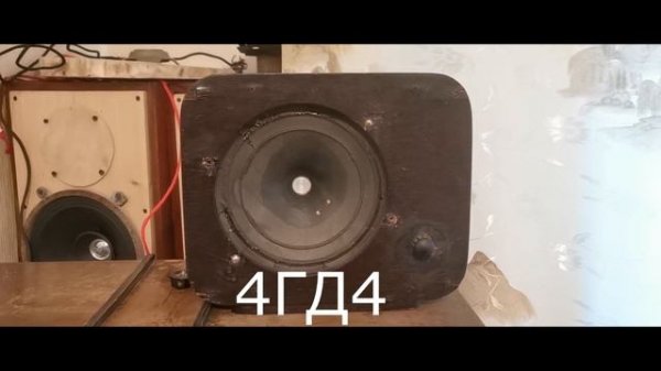 4ГД4 ВЭФ в корпусе ЗИК с японским колпачком и без него.