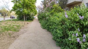 Один из дней города Евпатории | 10 мая 2021 год | Крым | ХАН БАТОН | XAH 6ATOH | VID_20210510_140553