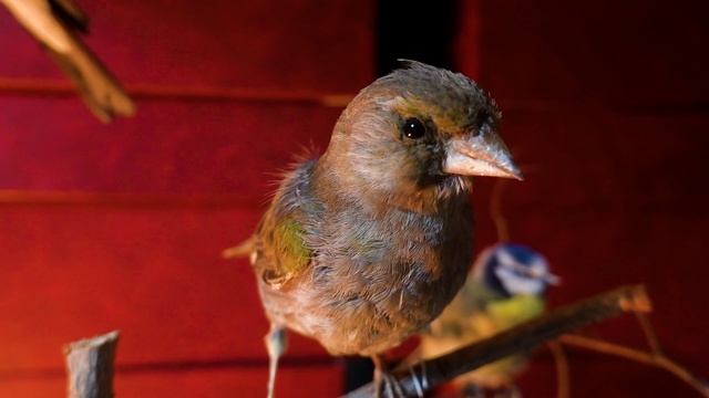 Интервью с хранителем фонда природы