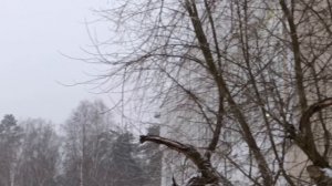 Протвинской снегопад. Лесной бульвар