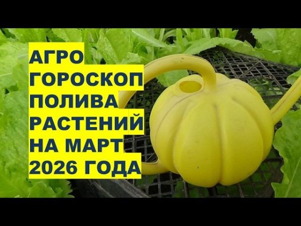 Март 2026: Самые Лучшие и Эффективные Дни для Полива Растений?!