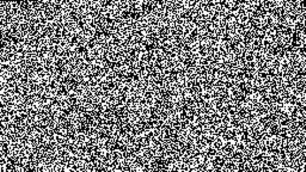 The Reunion [bin2video]