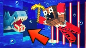 ВЛАДУС СТАЛ ДЕЛЬФИНОМ!