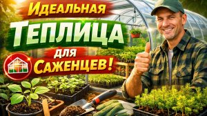 Идеальная теплица для черенков туи