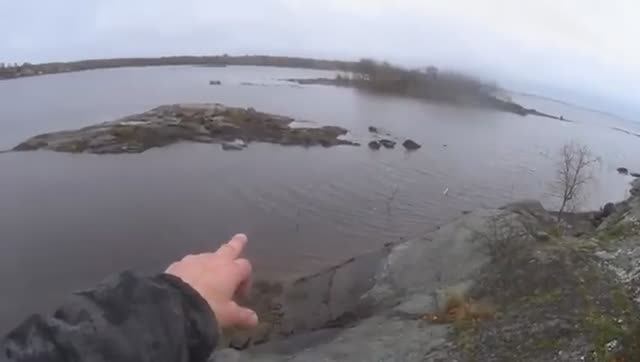 Сиги свисают хвостами вниз!С высоты Звёздной лаборатории видно!