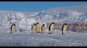 Официальный трейлер "Polar Opposites (2025)"