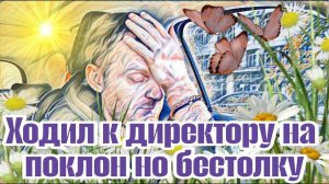 Эхо - Самвел Адамян ушатал Колину машину. Пролетел, как фанера.