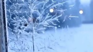 Вальс о весне