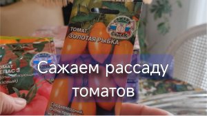 Посев 12 сортов рассады из семян: мой метод