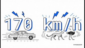 How fast are we moving?