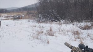 Вепрь СОК 94