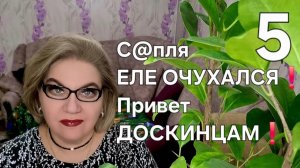 5 часть. С@пля ЕЛЕ ОЧУХАЛСЯ❗️Привет ДОСКИНЦАМ❗️