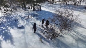 Зимний потоп: жители более десяти участков с января борются с подтоплением